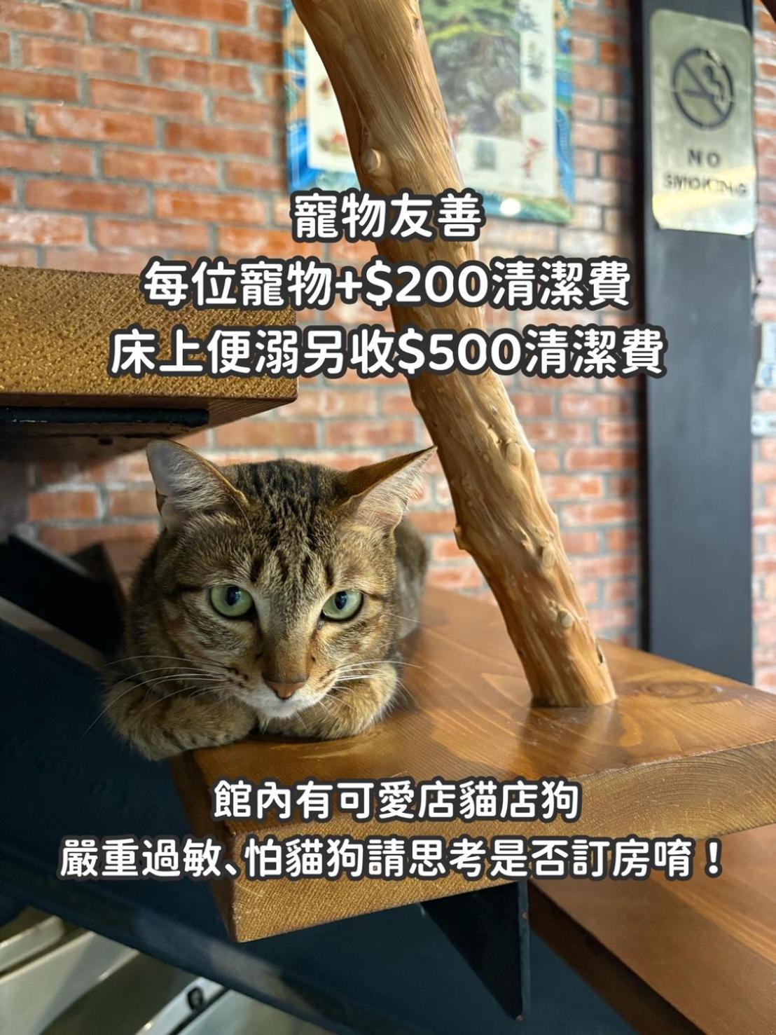 缽割貓點點 青旅 Diandian Hostel Puli Zewnętrze zdjęcie